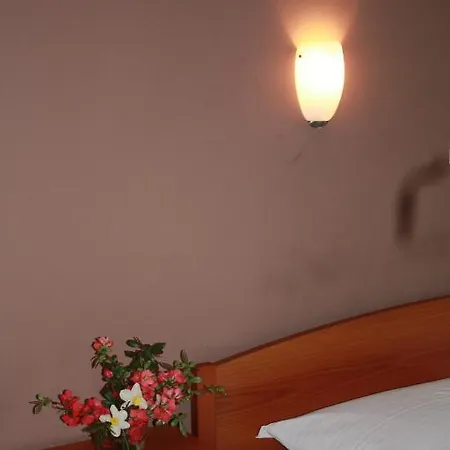 Sobe Ob Sotocju Budic Catez Ob Savi 3* Brezice