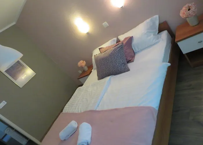 Pensjonat Sobe Ob Sotocju Budic Catez Ob Savi