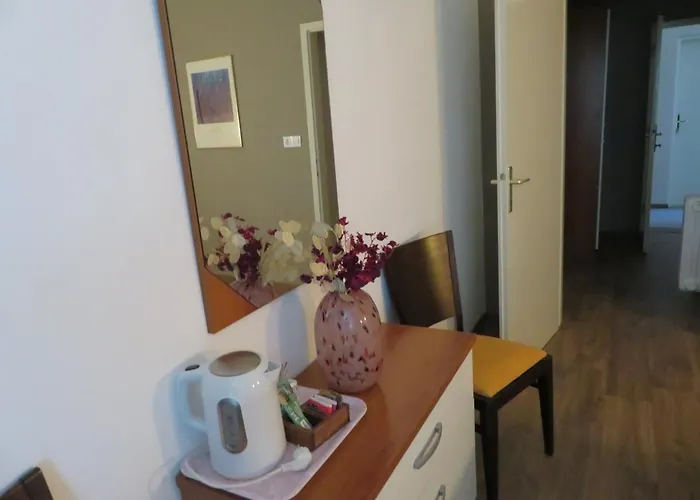 Pensjonat Sobe Ob Sotocju Budic Catez Ob Savi