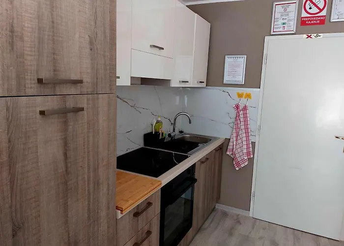 Sobe Ob Sotocju Budic Catez Ob Savi Gasthuis 3*