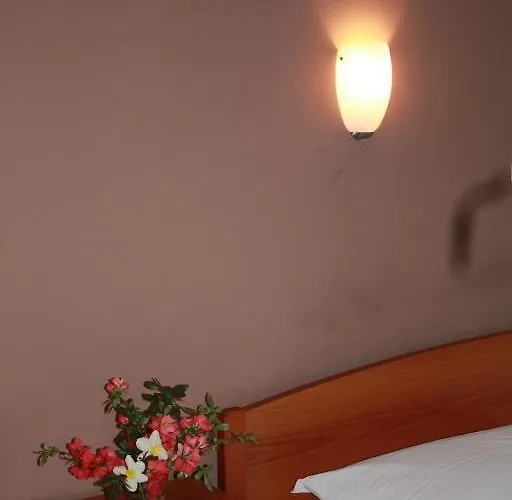 Sobe Ob Sotocju Budic Catez Ob Savi 3* Brežice